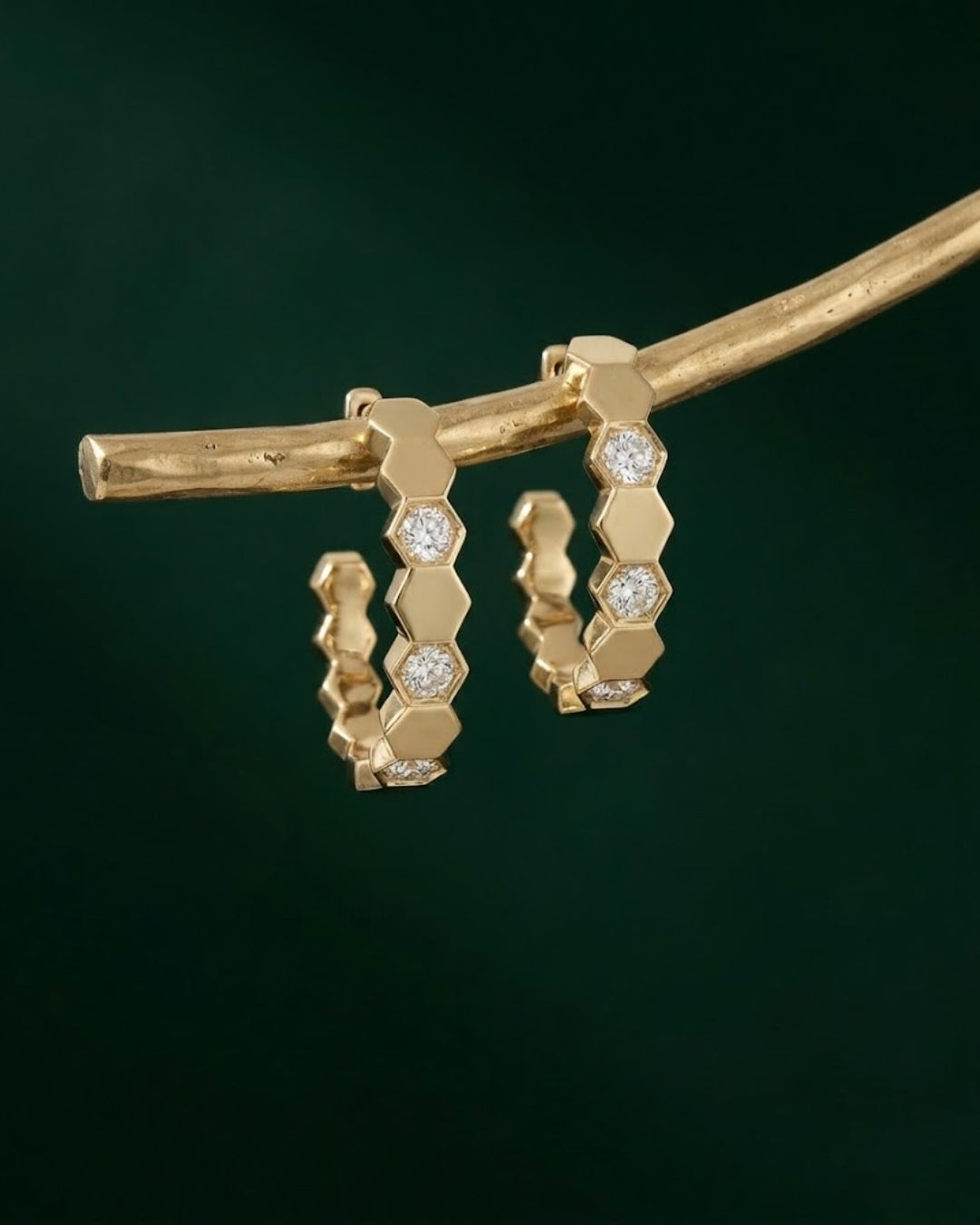 Hexa-Link Hoops
